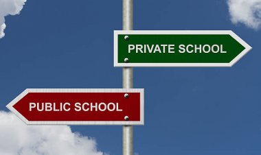 Government Colleges vs. Private Colleges in Nepal