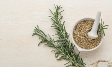 Rosemary Water for Hair Growth: My Experience