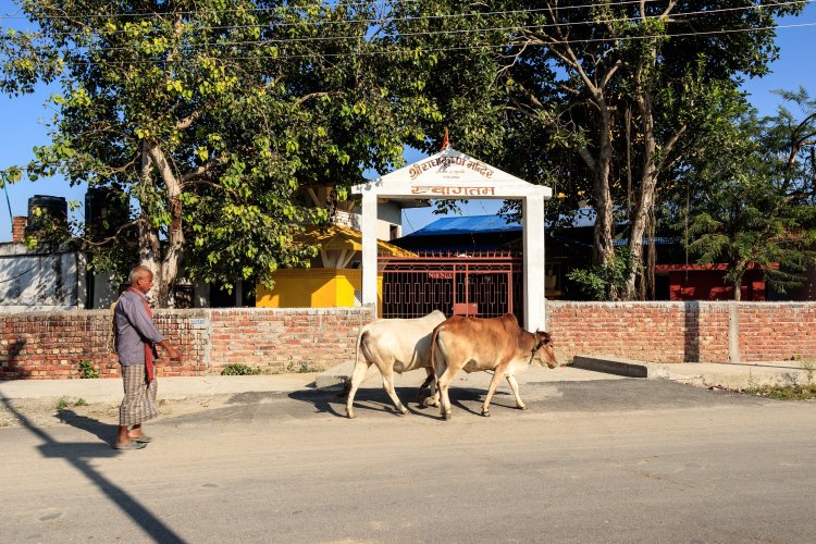 Sunsari District in Nepal - Cultural and Natural Wonders