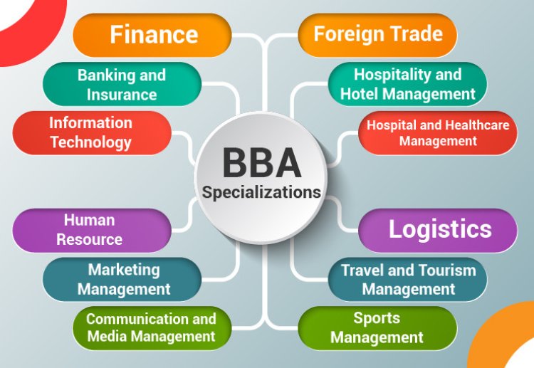 Career Options After a Bachelor of Business Administration (BBA)