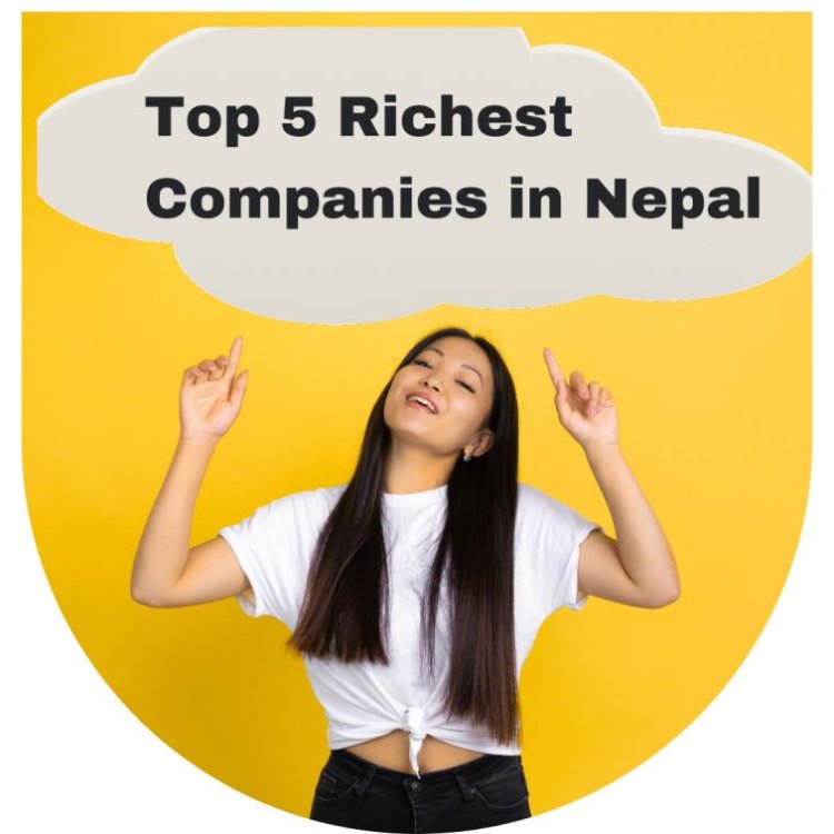 Top 5 Richest Companies in Nepal of 2024