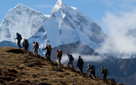 A Complete Guide to Trekking in the Himalayas