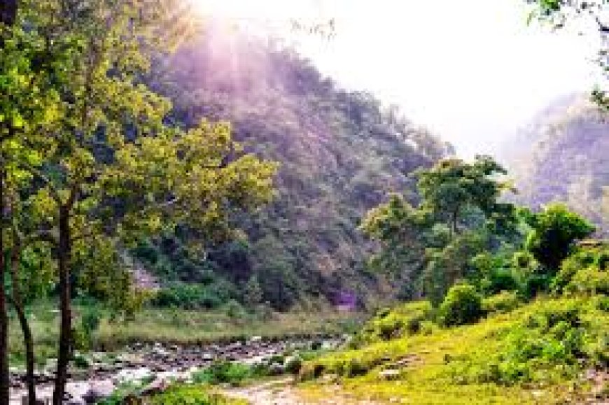 Discover Hetauda Municipality: Nepal’s Gateway to Beauty